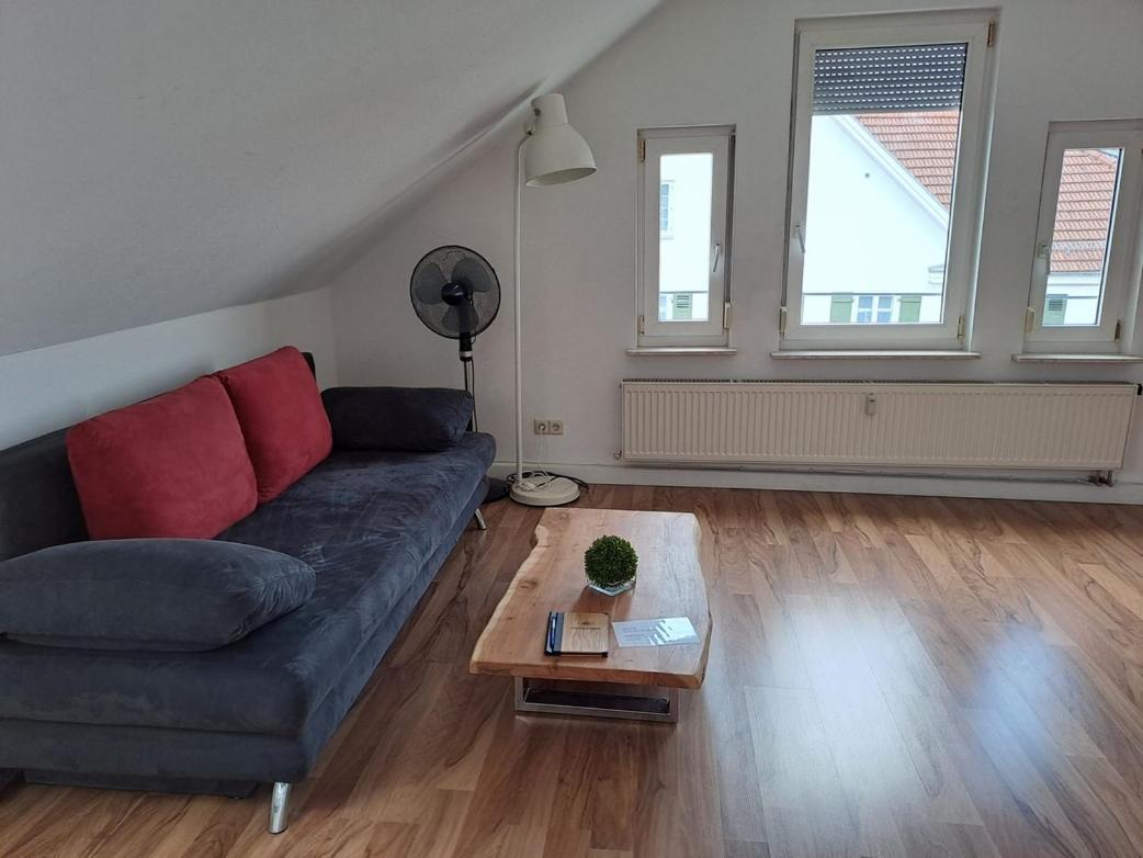 Waldhorn Alleenring Apartments كيرشهايم أونتر تيك المظهر الخارجي الصورة